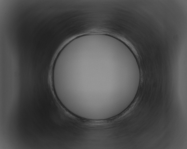 X0000100901486200806241020
