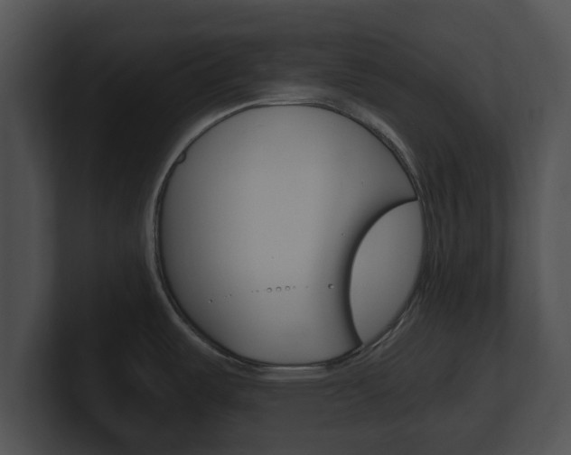 X0000100901487200806241020