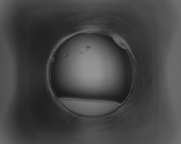 X0000100901488200806241020