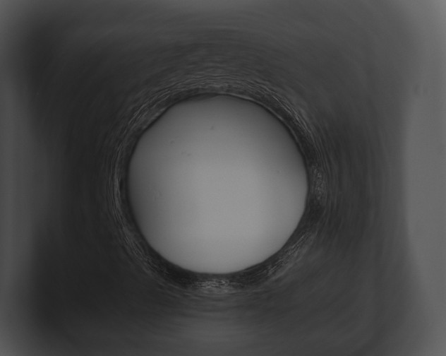 X0000100901489200806241019
