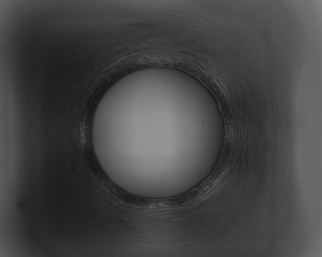 X0000100901490200806241019