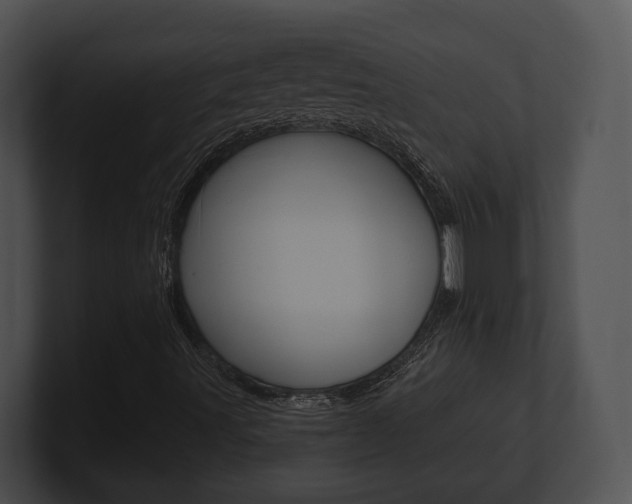 X0000100901491200806241019