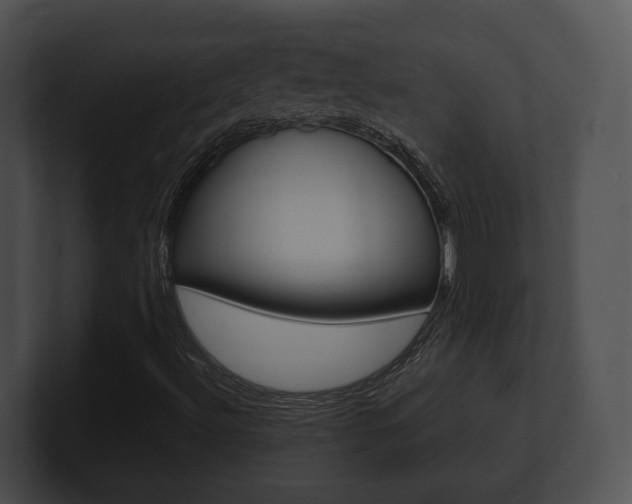 X0000100901492200806241019
