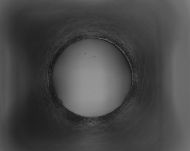 X0000100901493200806241019