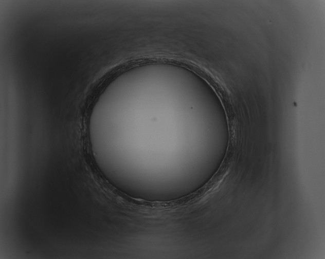 X0000100901494200806241019