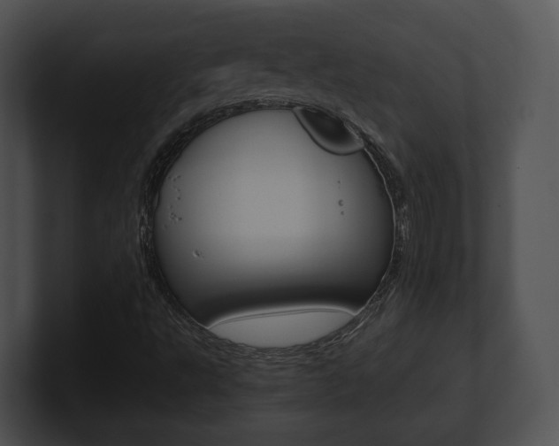 X0000100901495200806241019