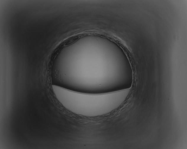X0000100901496200806241019