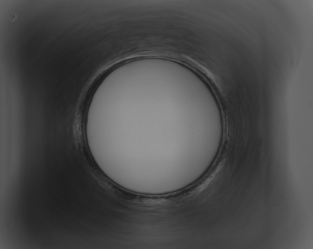 X0000100901498200806241019