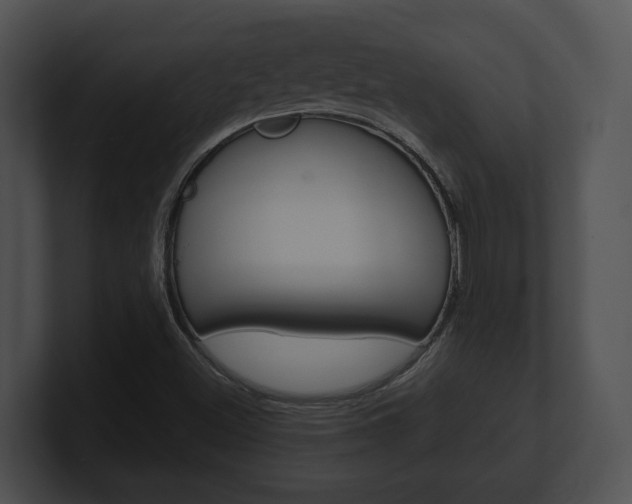 X0000100901500200806241019