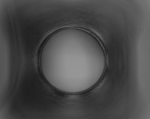 X0000100901501200806241019