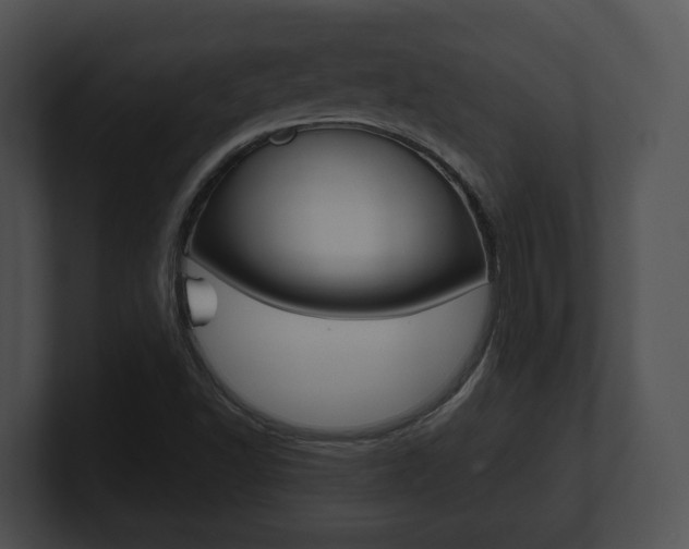 X0000100901502200806241019