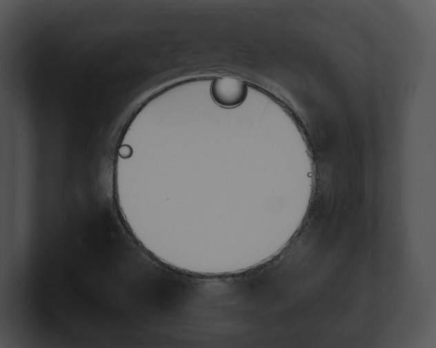 X0000100901504200806241019