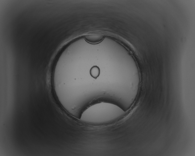 X0000100901506200806241019