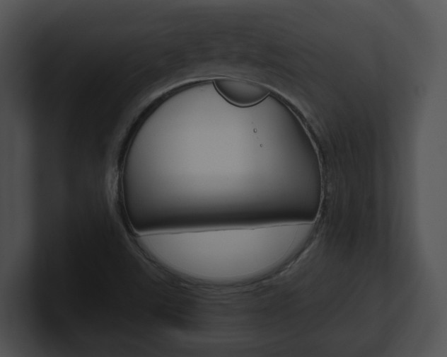 X0000100901507200806241019