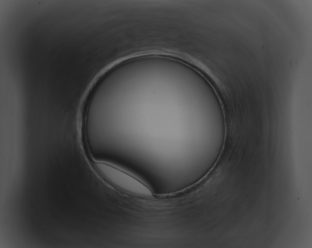 X0000100901508200806241019