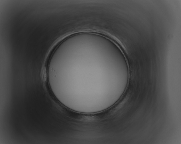 X0000100901509200806241019