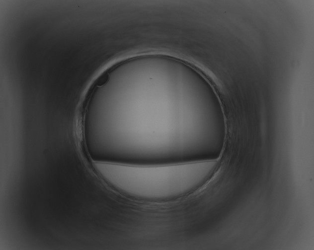 X0000100901510200806241019