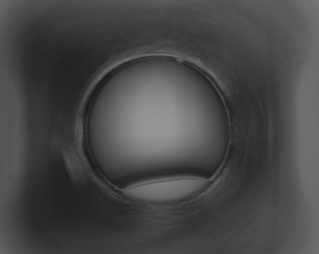 X0000100901511200806241019