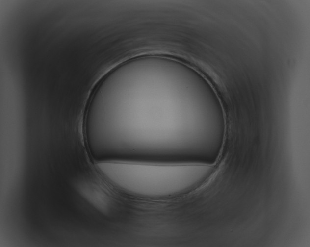 X0000100901513200806241019