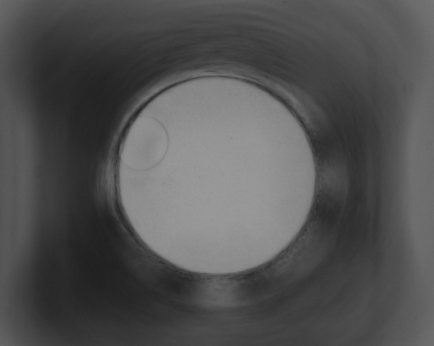X0000100901514200806241019