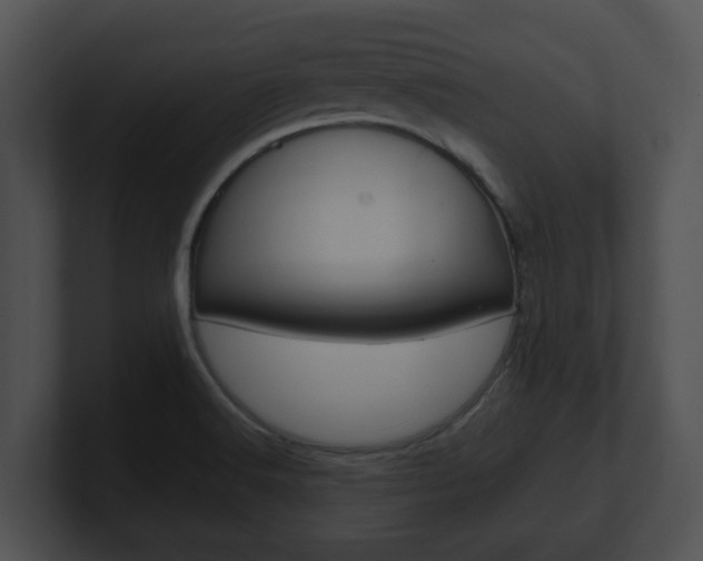 X0000100901516200806241019