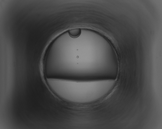 X0000100901517200806241019