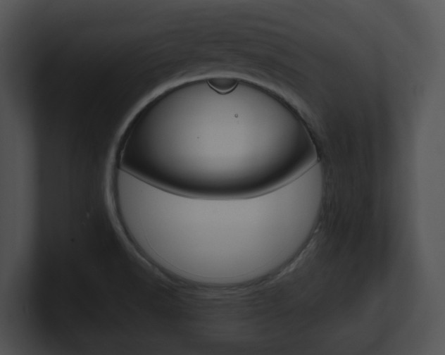 X0000100901518200806241019