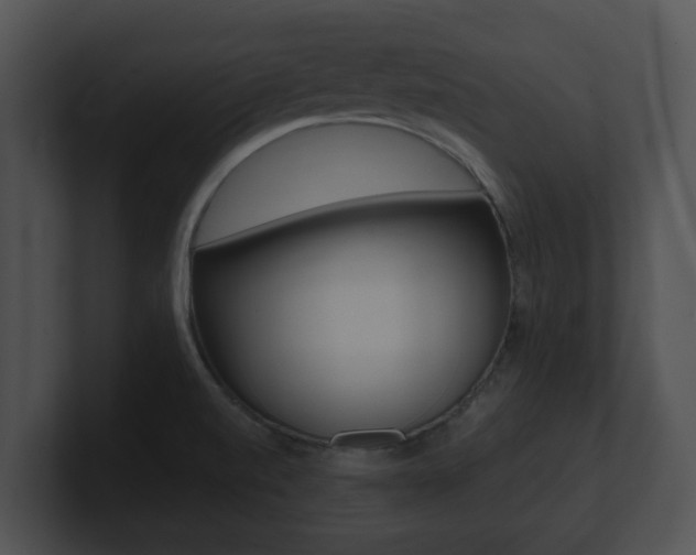 X0000100901520200806241019