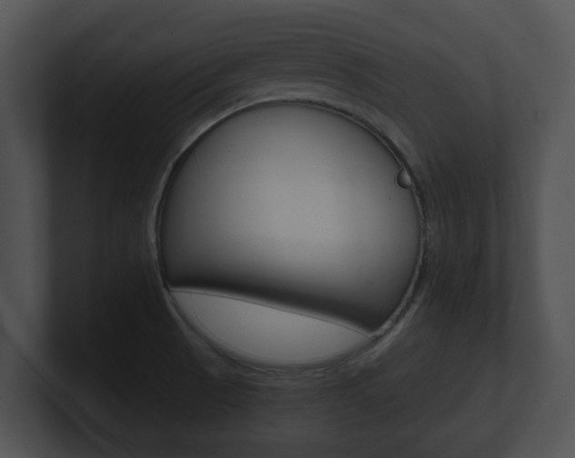 X0000100901521200806241019