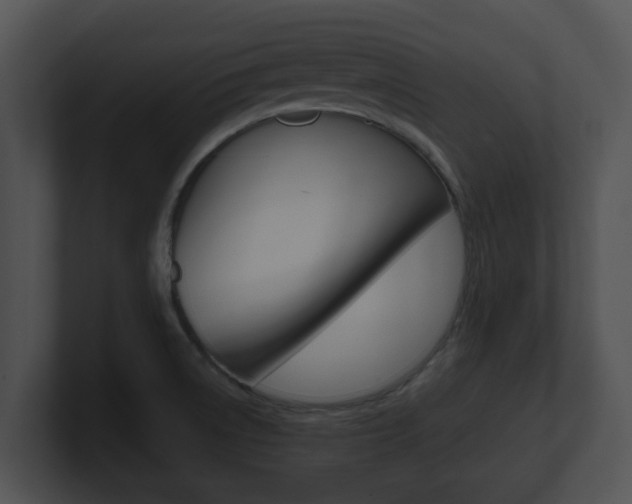 X0000100901522200806241019