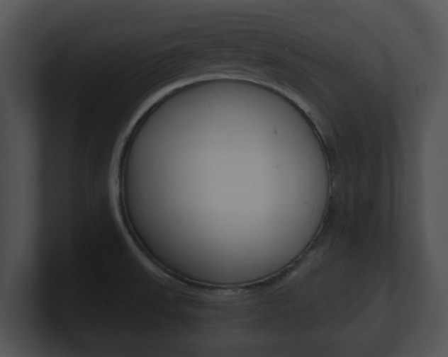 X0000100901523200806241019