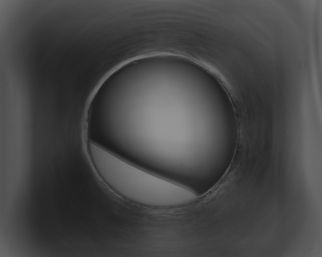 X0000100901524200806241019