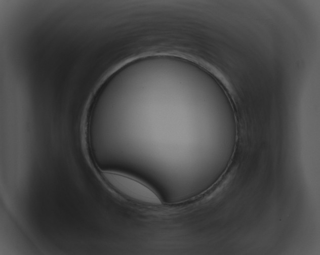 X0000100901525200806241019