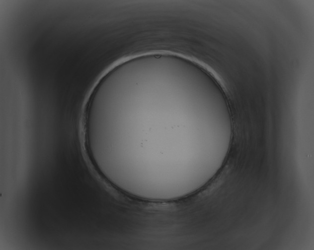 X0000100901526200806241019