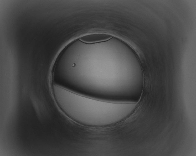 X0000100901527200806241019