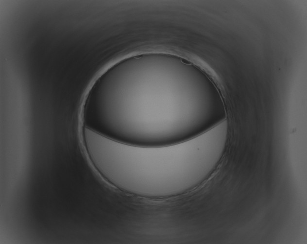 X0000100901528200806241019