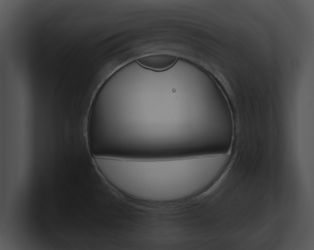 X0000100901529200806241019