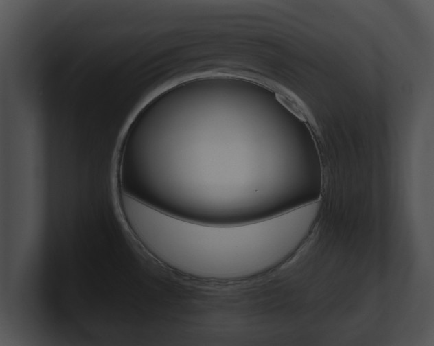 X0000100901530200806241019