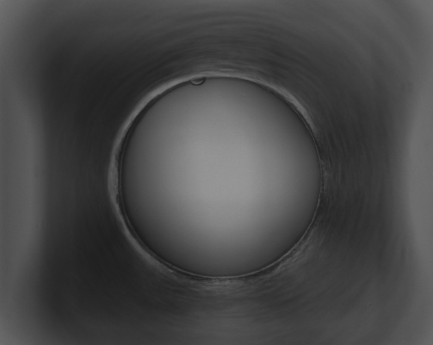 X0000100901531200806241019