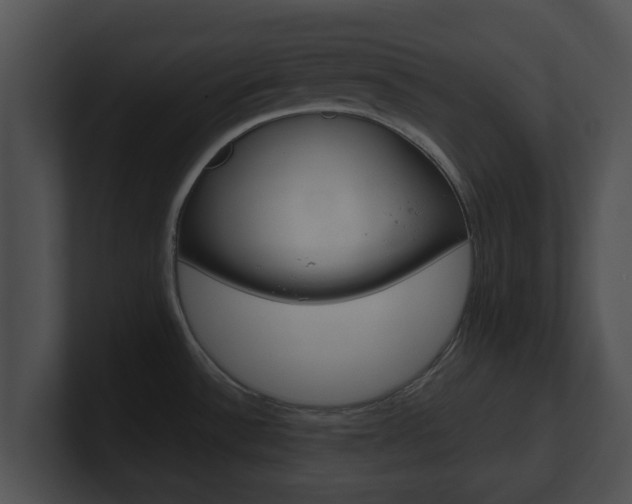 X0000100901532200806241019