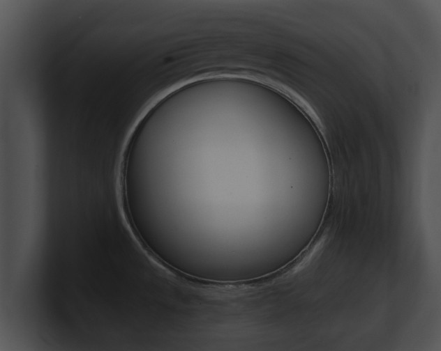 X0000100901533200806241019
