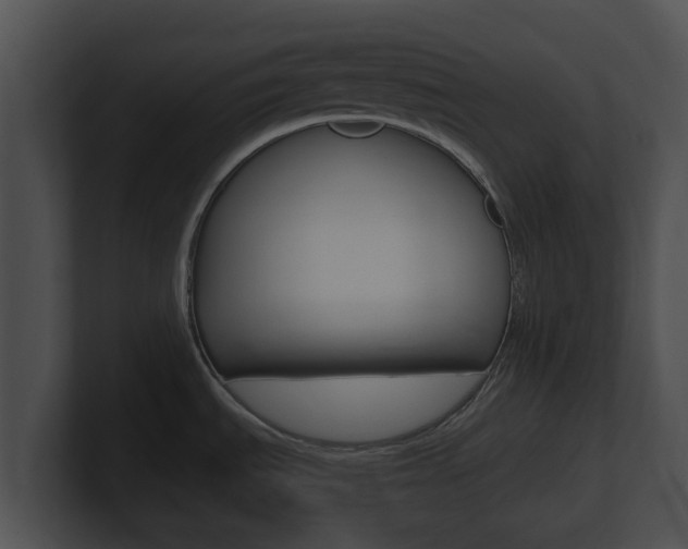 X0000100901535200806241019