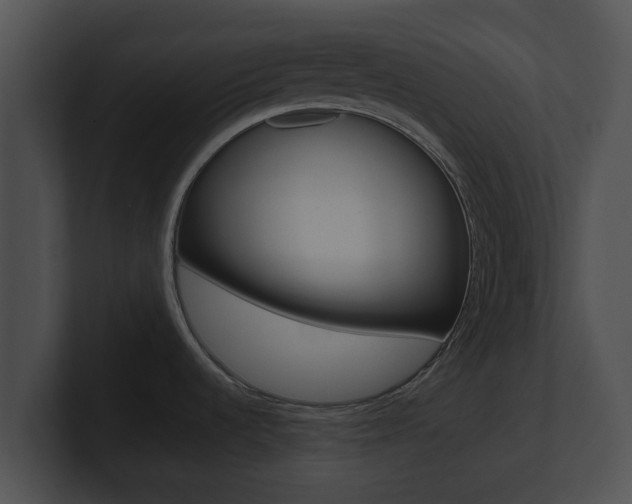 X0000100901536200806241020