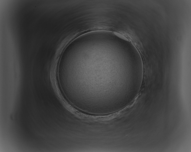 X0000100900001200806241302