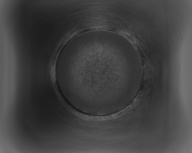 X0000100900002200806241302
