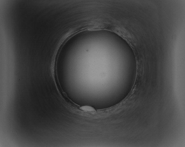 X0000100900003200806241302
