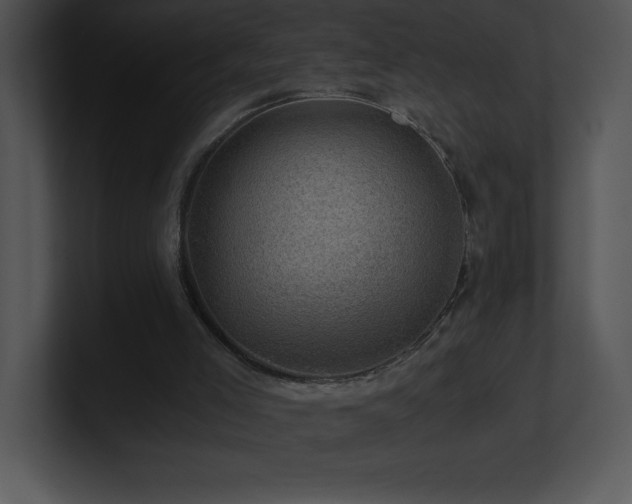 X0000100900005200806241302