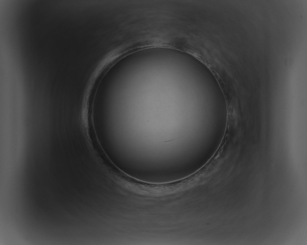 X0000100900006200806241302