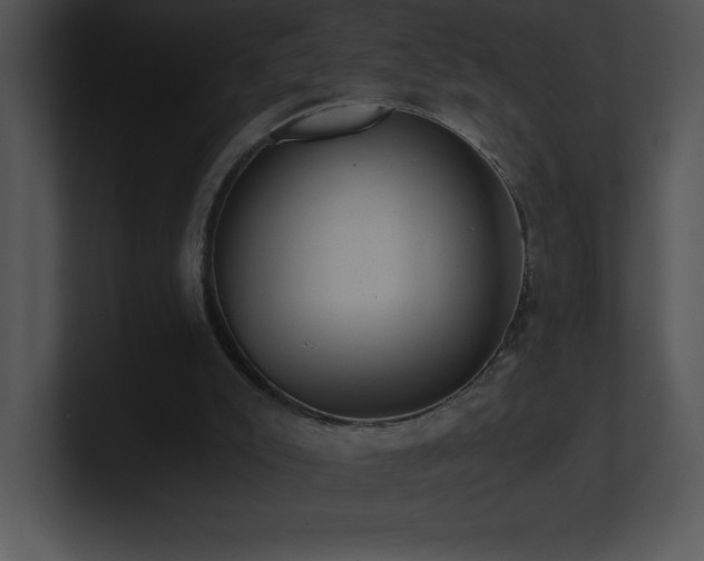 X0000100900007200806241302