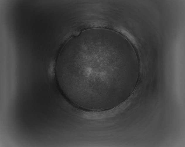 X0000100900009200806241302